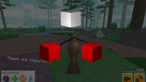 The Next Level: Bloxy Red Carpet