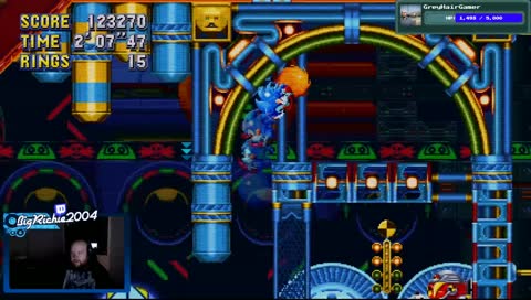 Some brand new sonic game or something?