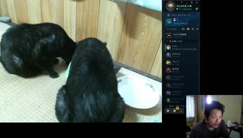 裏プロＨＪＭ３６歳のSFV_G&LoL&OW&etc