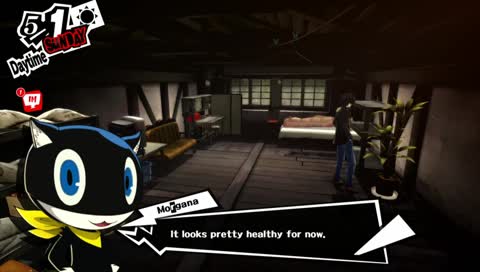 Persona 5 (Session 4) [BLIND, NO SPOILERS]