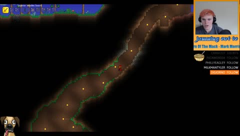 Terraria and Chill?