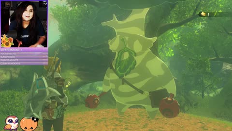 💛 Zelda Hypeee 💛