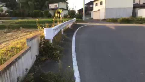 SOS福栃3日目P1『準レギュラーゴリカゲさん登場』 | ストリートファイターオンザストリート(福島〜栃木編) / ハンサムチャンネル