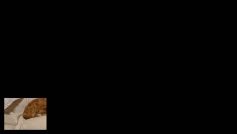 えるぼー麻雀カップ参加受付中