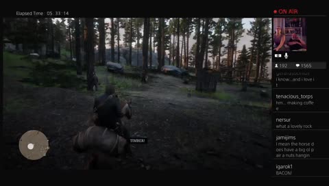 I am a beautiful couch potato