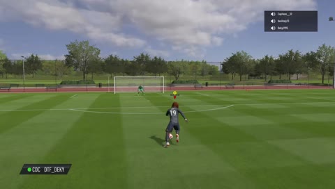 WolvLions DTF - Fc DreamTeam