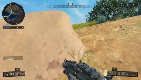 Tyčkouni in action !