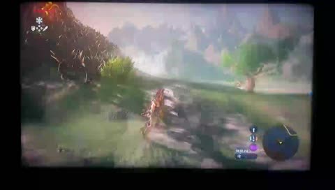 The Legend of Zelda: Breath of the Wild