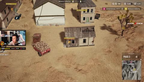 THAILAND DOG SCRIM #1