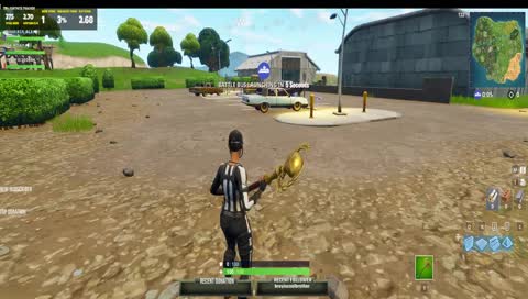 Fortnite (300+ WINS) Solos, Duos, Squads New Heavy AR