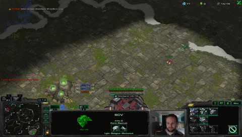 Mass Ravens Every Game