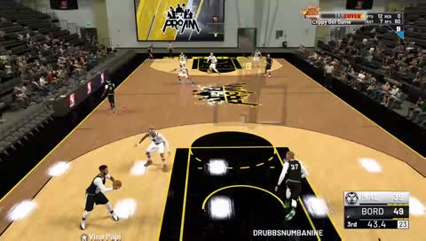 proam runs rebirth build