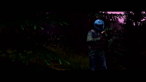 Lights of the Forest