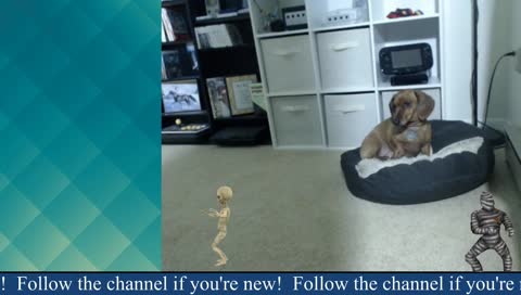 Kingsfield 2 (3) day 2 with live cartography 