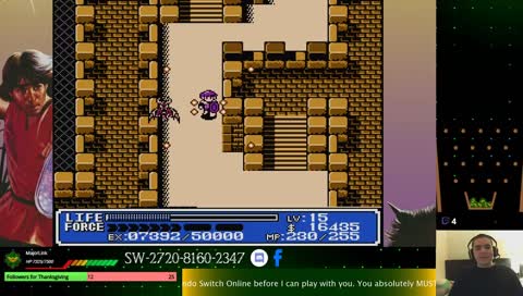 If it plays like Zelda, then it's PERFECT for me! - It's Time to play Crystalis!