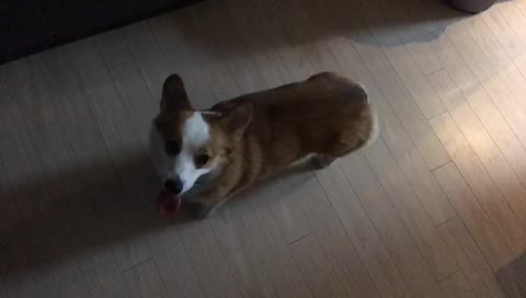 불금엔 망고베리