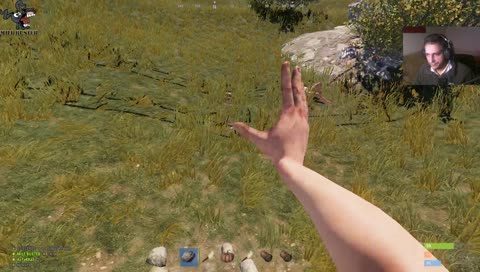 DONKEYS AT PLAY - EN/GER/TR => 18+ <=