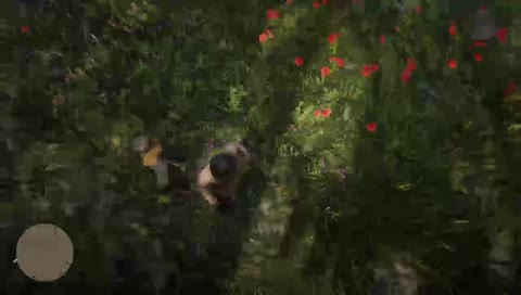 RDR2 courtesy of RoboPirateLincoln