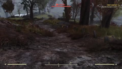  We are definitely not drunk 