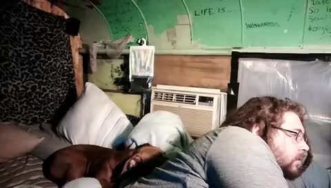 Maine Offgrid Survival Day 10 #buslife