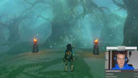 [GER] [INK]Tag 7 #Zelda #Switch #Schreine #Fotos #Nebenaufgaben 