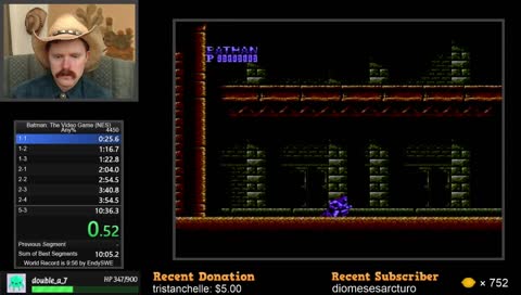 Batman: The Video Game