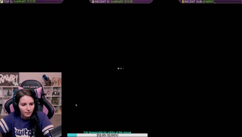 Let's sponsor a kitty or two?! | !kitty | !extralife |