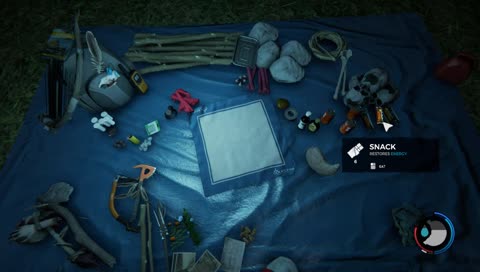 whippinandnnaenaeingcannibals
