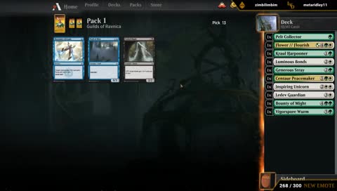 Draft + Constructed
