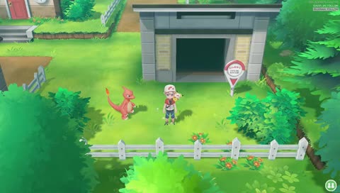 Weg zum Pokémon Meister!