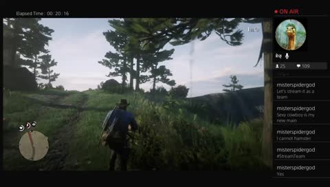 Frog Plays The Cowboy Game