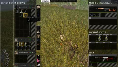 Дорога приключений