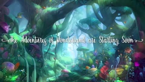 I'm thankful for Wonderland, no matter where I am- this is home! | Happy Thanksgiving!!!