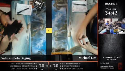 ALLiances - Team Unified Standard