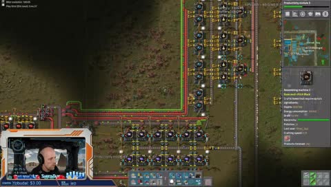 "Life's a Beach: Blue Belt of Purple Science" | [Day 14] 