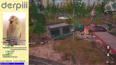 Shieldmaiden Tournament: Week 2!