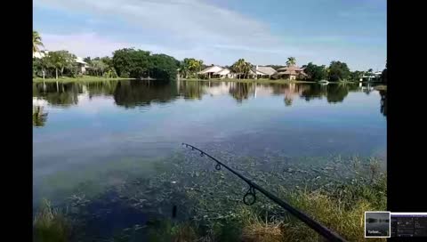 South Florida Fishing - Short test of new advanced fish streaming technology. Actually fishing in an hour or so