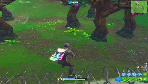 WINTER ROYALE / 2min delay / no cam / NA QUAL TIME
