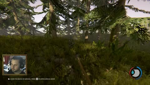 Exploring The Forest with Angel