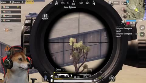 STREAM CORTITO - ENTRA CON EL PERRO