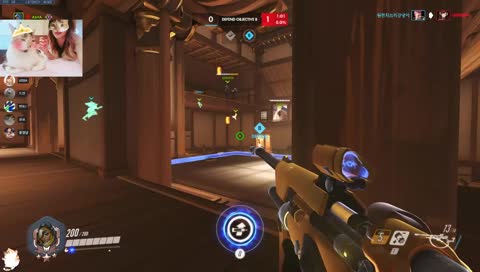 손요공에게 뽕을!