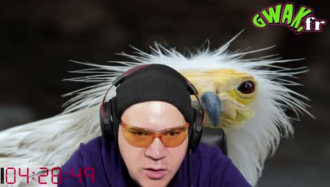 ARTIGWAK !