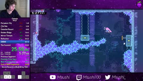 Celeste Any% in 28:57