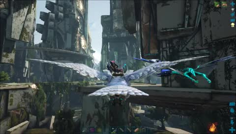  AVENTURE ARK !SERVEUR