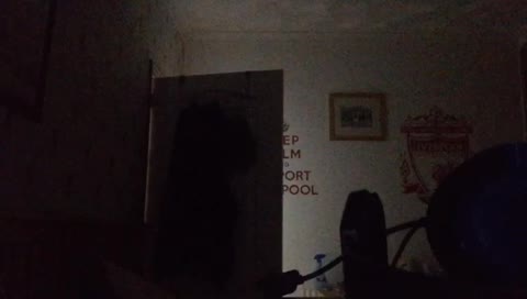 ceiranfortnite's mobile stream