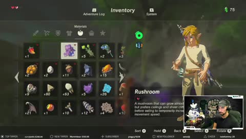 Just got my switch! (First Playthrough!)