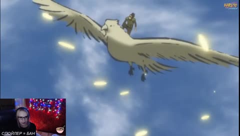 Иди сюда и кошка не пострадает