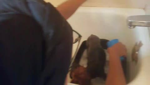 Washing Terry 🐶😩