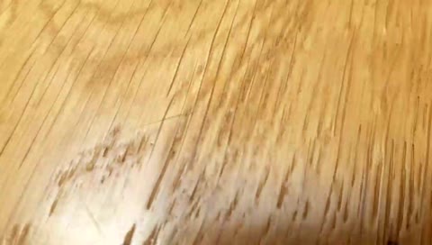 brucedamoosedagoose's mobile stream