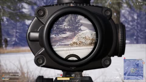 First snowy chicken